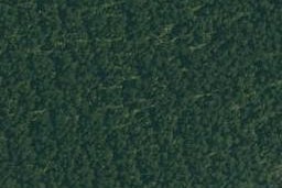 25 Waipapa Way, Manawahe, Whakatāne