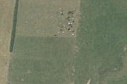 222 Hudson Street, Pirongia, Pirongia