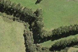 198C Amreins Road, Taupaki, Taupaki