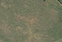0 State Highway 2, Te Hauke, Otane
