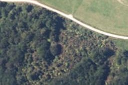 180 Orwell Creek Road, Totara Flat, Ahaura