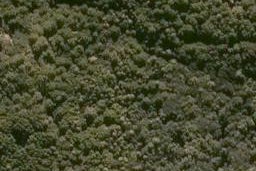 0 Baker Road, Poroti, Whangarei