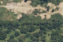 57 Stuart Street, Lake Kaniere, Kokatahi