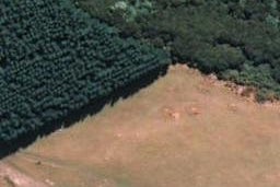 99 Kahu Ridge, TAIERI BEACH, TAIERI MOUTH