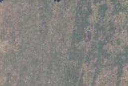 0 State Highway 2, Whakaki, Whakaki