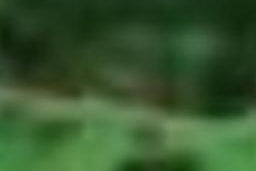 0 Hikurua Road, Kaeo, Kaeo