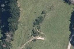 0 Old Coach Road, Eketahuna, Eketahuna