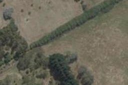 1 Buxus Way, Rolleston, Rolleston