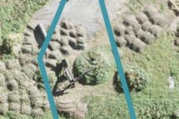 32 Belvedere Place, Warkworth, Warkworth