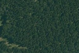 57 Waipapa Way, Manawahe, Whakatāne