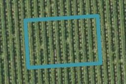 16 Bond Street, Springlands, Blenheim