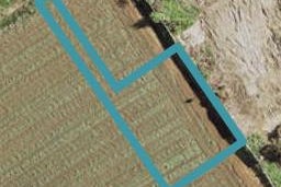 96 Belmont Road, Pukekohe, Pukekohe