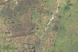 1951 Kumara-Inchbonnie Road