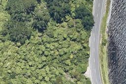 201 State Highway 30, LAKE ROTOMA, ROTORUA