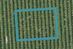 6 Arlington Close, Springlands, Blenheim