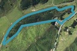 364 Koromiko, MOUNT PLEASANT, BLENHEIM