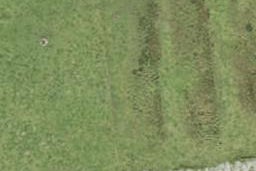 4 Toetoe Street, Westgate, Auckland