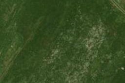 4 Te Piriti Road, One Tree Point