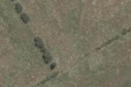 9 Silvergrass Way, Rolleston, Rolleston