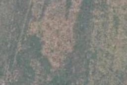 0 State Highway 2, Whakaki, Whakaki