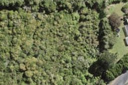 19 Yozin Road, Swanson, Auckland