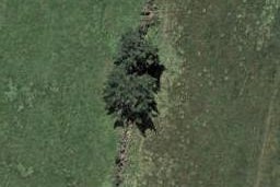 73 Waiotahi Road, Kaiapoi, Kaiapoi