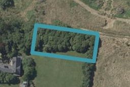 2A Newbury Street, Company Bay, Dunedin