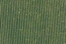 6 Granville Close, Springlands, Blenheim