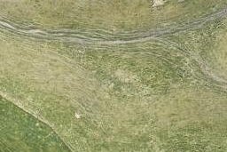 18 Pukatea Crescent, Owhata, Rotorua