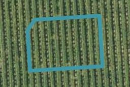 8 Granville Close, Springlands, Blenheim