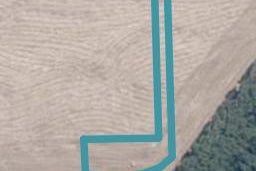 7 Gully Lane, Richmond Heights, Taupō