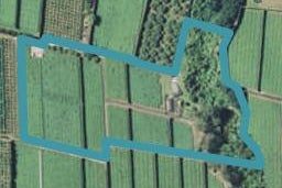 51 Dyer Strait, OMANAWA, TAURANGA