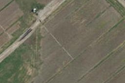 12 Ambrosia Street, Appleby, Richmond