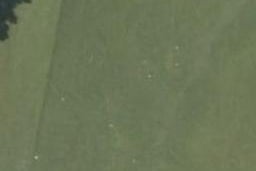 0 Charlton Road, Upper Charlton, Gore