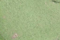 8 Penney Rise, MATAKANA, Matakana