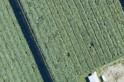 17 Te Rina Boulevard, OMOKOROA