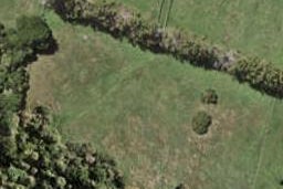 41 Barley Road, Flat Bush, Auckland