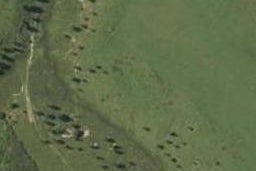 225 Kingsdale Park Drive, AOKAUTERE, Aokautere