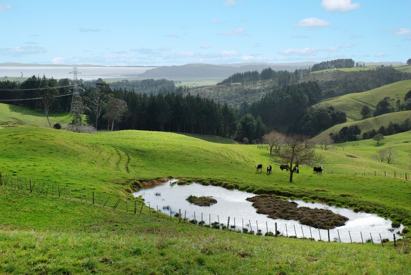 0 Kaipara Coast Highway, Kaukapakapa, Kaukapakapa - Carousel 1