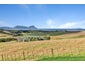214 Mountfield Road, Waipu - Carousel 3
