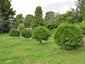 308 Hamama Road, Takaka - Carousel 7