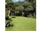 1156 State Highway 12, Oue, Kaikohe - Carousel 23