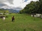 308 Hamama Road, Takaka - Carousel 5