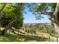 1565 State Highway 29, Lower Kaimai, Tauranga - Carousel 7