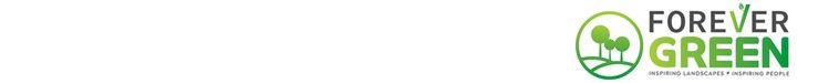 Forever Green Small Top Banner
