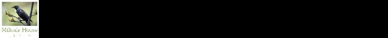 Jobs Listing Branding
