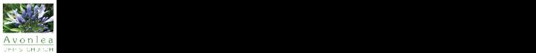 Avonlea Dementia Care Small Top Banner