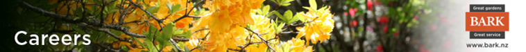 Bark Ltd Small Top Banner
