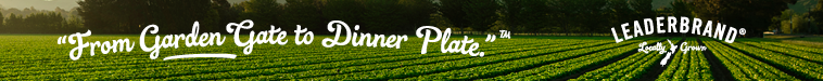 Leaderbrand Small Banner
