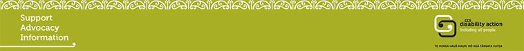 CCS Disability Action Northern Small Banner